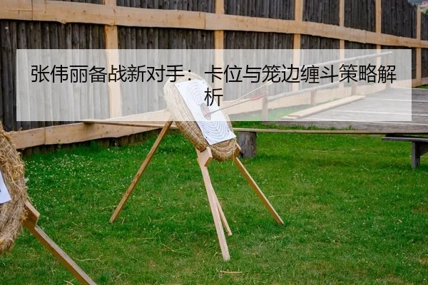 张伟丽备战新对手：卡位与笼边缠斗策略解析